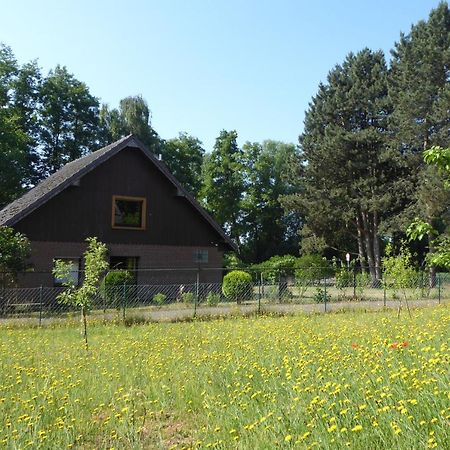 Ferienhaus An Der Borner Muehle Bruggen  Bagian luar foto
